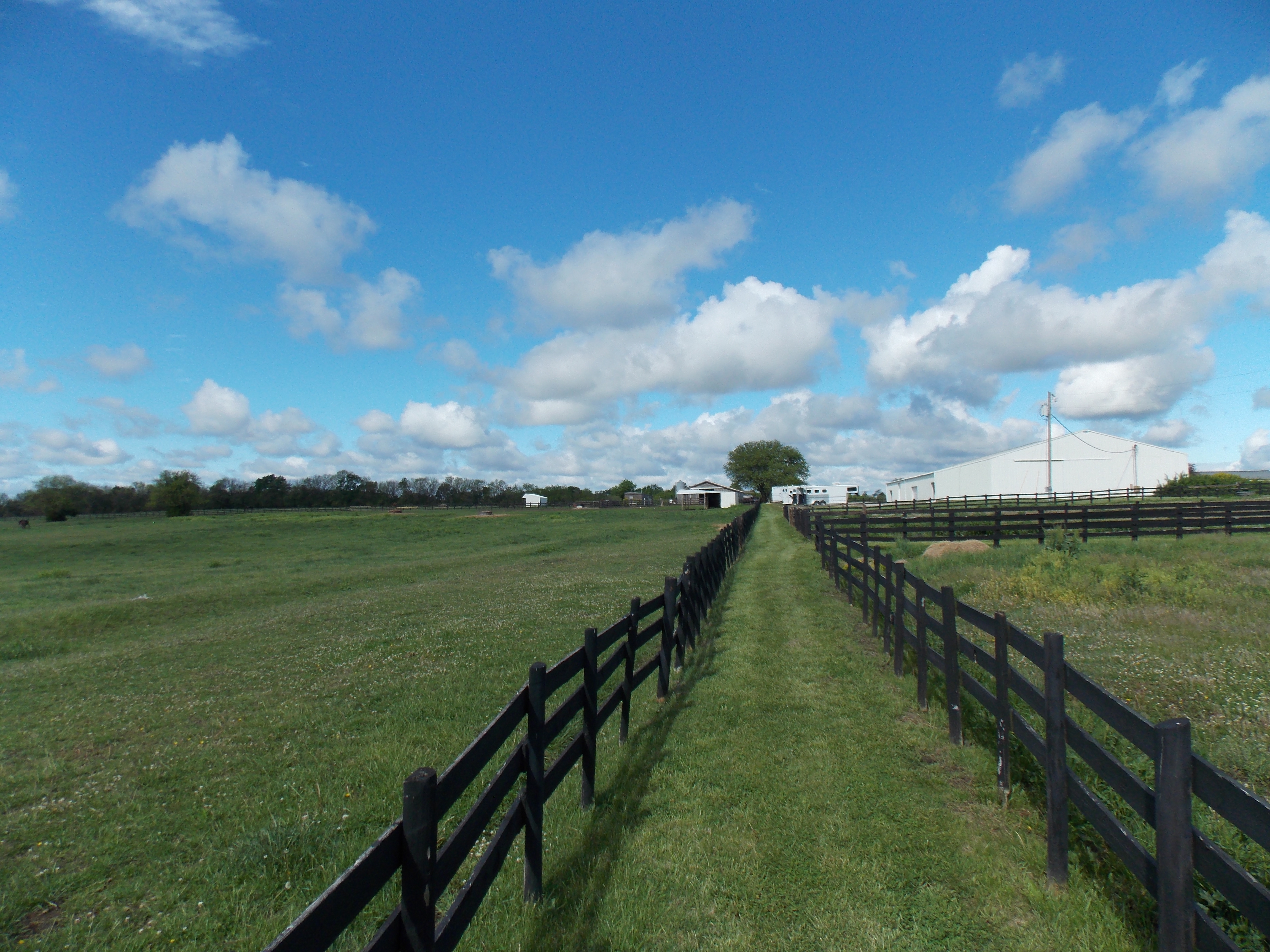 Pastures at Freedom Hill Stables