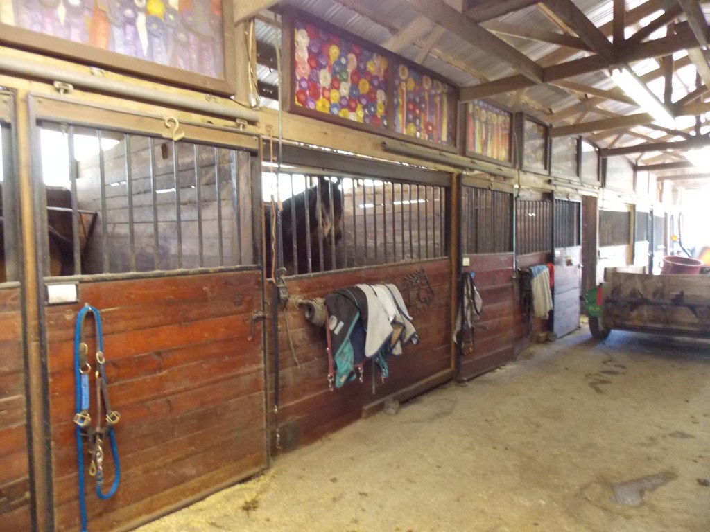 Horse boarding in the main barn at Freedom Hill